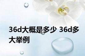 36d大概是多少 36d多大举例