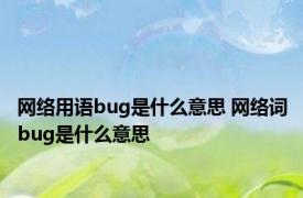 网络用语bug是什么意思 网络词bug是什么意思