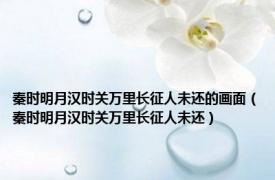 秦时明月汉时关万里长征人未还的画面（秦时明月汉时关万里长征人未还）