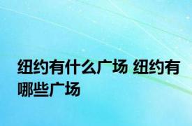 纽约有什么广场 纽约有哪些广场