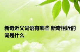 新奇近义词语有哪些 新奇相近的词是什么