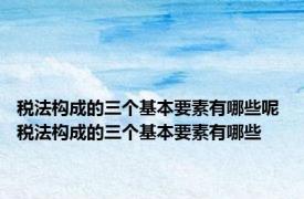 税法构成的三个基本要素有哪些呢 税法构成的三个基本要素有哪些