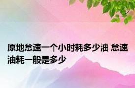 原地怠速一个小时耗多少油 怠速油耗一般是多少