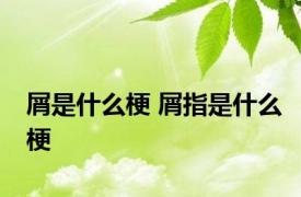 屑是什么梗 屑指是什么梗