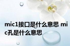 mic1接口是什么意思 mic孔是什么意思