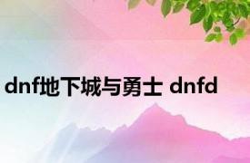 dnf地下城与勇士 dnfd 