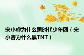 宋小睿为什么黑时代少年团（宋小睿为什么黑TNT）