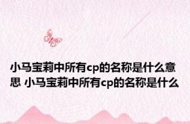 小马宝莉中所有cp的名称是什么意思 小马宝莉中所有cp的名称是什么