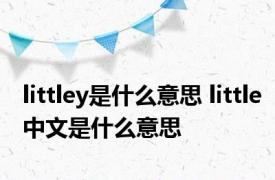 littley是什么意思 little中文是什么意思