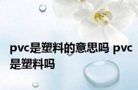 pvc是塑料的意思吗 pvc是塑料吗