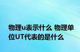 物理u表示什么 物理单位UT代表的是什么