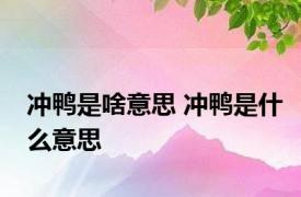 冲鸭是啥意思 冲鸭是什么意思