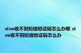 vivo收不到短信验证码怎么办呢 vivo收不到短信验证码怎么办