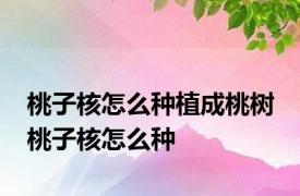 桃子核怎么种植成桃树 桃子核怎么种