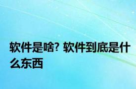 软件是啥? 软件到底是什么东西