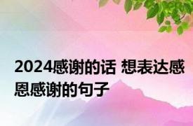 2024感谢的话 想表达感恩感谢的句子