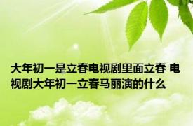 大年初一是立春电视剧里面立春 电视剧大年初一立春马丽演的什么