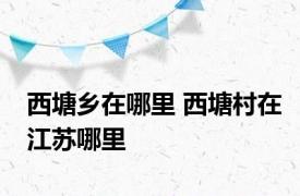 西塘乡在哪里 西塘村在江苏哪里