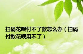 扫码花呗付不了款怎么办（扫码付款花呗用不了）