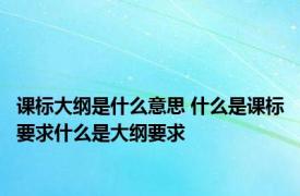 课标大纲是什么意思 什么是课标要求什么是大纲要求