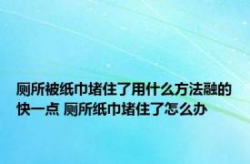 厕所被纸巾堵住了用什么方法融的快一点 厕所纸巾堵住了怎么办