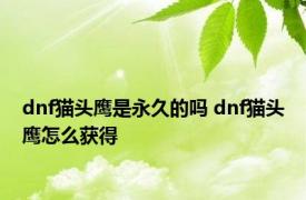 dnf猫头鹰是永久的吗 dnf猫头鹰怎么获得