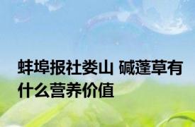 蚌埠报社娄山 碱蓬草有什么营养价值