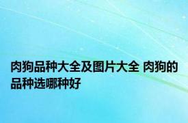 肉狗品种大全及图片大全 肉狗的品种选哪种好