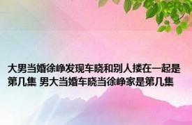 大男当婚徐峥发现车晓和别人搂在一起是第几集 男大当婚车晓当徐峥家是第几集