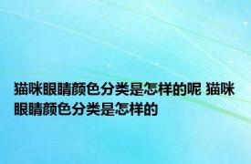 猫咪眼睛颜色分类是怎样的呢 猫咪眼睛颜色分类是怎样的