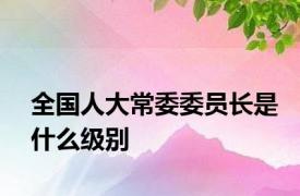 全国人大常委委员长是什么级别