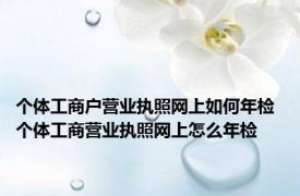 个体工商户营业执照网上如何年检 个体工商营业执照网上怎么年检