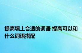 提高填上合适的词语 提高可以和什么词语搭配