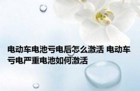 电动车电池亏电后怎么激活 电动车亏电严重电池如何激活