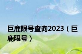 巨鹿限号查询2023（巨鹿限号）