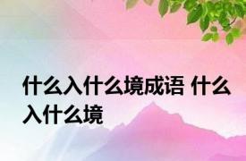 什么入什么境成语 什么入什么境