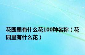 花园里有什么花100种名称（花园里有什么花）