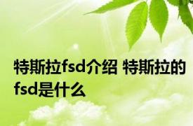 特斯拉fsd介绍 特斯拉的fsd是什么