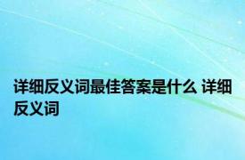 详细反义词最佳答案是什么 详细反义词