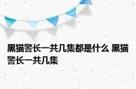 黑猫警长一共几集都是什么 黑猫警长一共几集