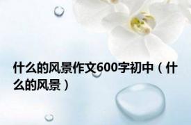 什么的风景作文600字初中（什么的风景）