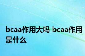 bcaa作用大吗 bcaa作用是什么