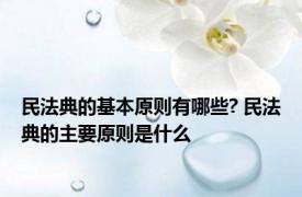 民法典的基本原则有哪些? 民法典的主要原则是什么