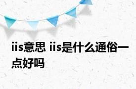 iis意思 iis是什么通俗一点好吗