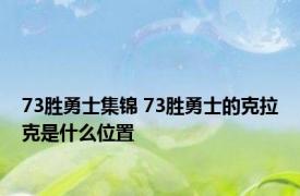 73胜勇士集锦 73胜勇士的克拉克是什么位置