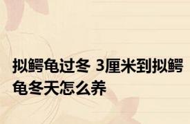 拟鳄龟过冬 3厘米到拟鳄龟冬天怎么养