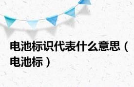 电池标识代表什么意思（电池标）