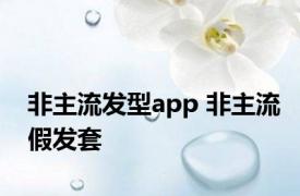 非主流发型app 非主流假发套 