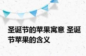 圣诞节的苹果寓意 圣诞节苹果的含义