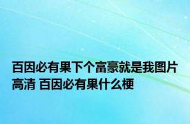 百因必有果下个富豪就是我图片高清 百因必有果什么梗